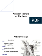 9 Anterior Triangle of The Neck E-Learning