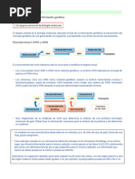 Abrir U.11 - El flujo de la información genética