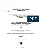 Entre La Desestructuración y La Multifuncionalidad: La Paradoja de La Agricultura Campesina en México