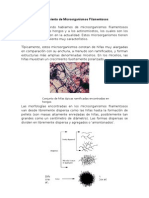 Crecimiento de Microorganismos Filamentoso1