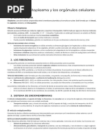 Célula _ TEMA 8_ El citoplasma y los orgánulos celulares