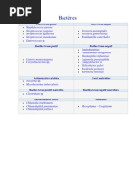 Les Grandes Classes Des Bactéries