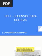 UD7 - LA ENVOLTURA CELULAR