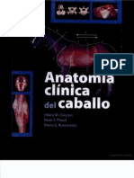 Anatomía Clinica Del Caballo