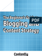 Beginners Guide To Blogging Content Strategy