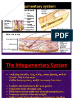 Integumentary System