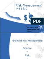 Financial Risk Management