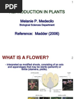 Plant Reproductive Structures