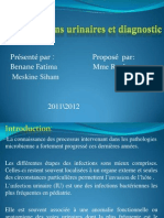 Les Infections Urinaires Et Diagnostic