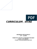 Curriculum-Vitae Ing To