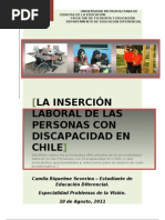 Ensayo Inserción Laboral de Personas Con Discapacidad en Chile. Okei