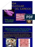 Fisiologia Molecular Del Ejercicio Presentacion