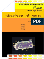 Virus Worksheet