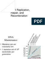 DNA Replication, Repair, and Recombination