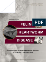 Feline Heartworm