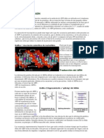 Transcripción Del ADN