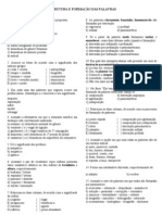 Exercicios Estrutura e Formacao Das Palavras