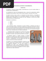 PDF Documento