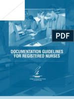 CRNNS Documentation Guidelines 2005