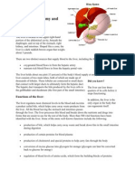 The Liver and Viral Hepatitis