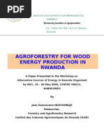 Agroforestry Production For Energy Production in Rwanda