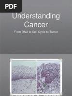 Understanding Cancer: From DNA To Cell Cycle To Tumor