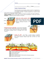 Distribuicao Geografica Dos Vulcoes