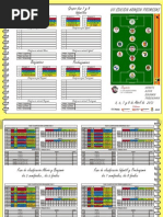 Triptico Torneo 2012