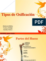 Tipos de Osificación