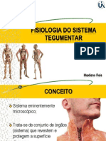 Fisiologia Do Sistema Tegumentar