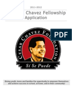 Cesar E. Chavez Fellowship: Application