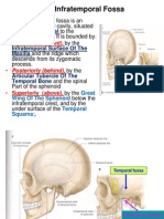 M219 Infratemporal