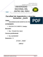 Deshidratacion Osmotica de Frutas