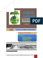 Trabajo de Auditoría Ambiental - Versión 01