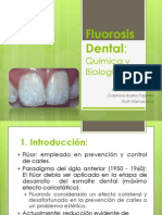 Fluorosis Dental