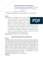 COLANGIOHEPATITE EM FELINOS RELATO DE CASOS Apresentação Digital