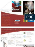 Triptico COMEX