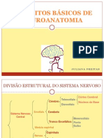 Conceitos Básicos de Neuroanatomia