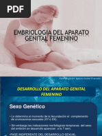 Embriologia Del Aparato Genital Femenino