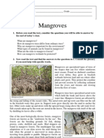 Mangroves: 1. Before You Read The Text, Consider The Questions You Will Be Able To Answer by The End of Today's Class