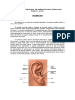 Oído, Sistema Nervioso Simpático y Parasimpático