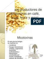 Hongos Productores de Ocratoxinas en Café, Arroz