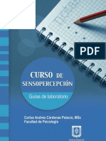 Curso de Sensopercepción. Guías de Laboratorio