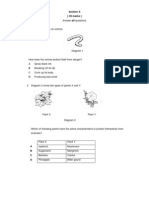 Section A (30 Marks) : Answer All Questions