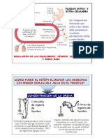 Regulacion Electrolitos