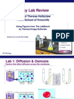 AP Biology Lab Review 1-4