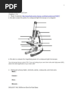 Biology Final Exam Review Sheet Fall 2008