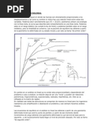 Analisis Lineal y Nolineal