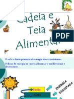 Cadeia Alimentar