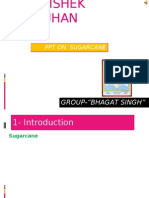 Presents: PPT On Sugarcane